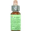PROMOPHARMA Florit - 24 Pine (Pino) 10ml