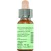 PROMOPHARMA Florit - 35 White chestnut (Ippocastano bianco) 10ml