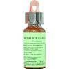 PROMOPHARMA Florit - 38 Willow (Salice Giallo) 10ml