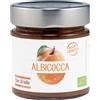 FIOR DI LOTO Albicocca 250 grammi
