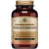 SOLGAR FitoEleuterococco 60 capsule