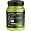 +WATT Glutammina+ Polvere 300 grammi
