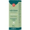 ERBA VITA Estratto Idroalcolico - Valeriana 50ml
