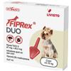 LIVISTO FIPREX DUO S 67mg CANE PICCOLO 1 PIP.