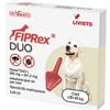 LIVISTO FIPREX DUO L 268mg CANE GRANDE 1 PIP. - scadenza vicina 09/10/2026