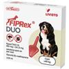 LIVISTO FIPREX DUO XL 402mg CANE GIGANTE 1 PIP. - scadenza vicina 09/10/2026