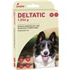 LIVISTO COLLARE DELTATIC 60 CM - 2 COLLARI