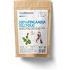 foodboost Xilitolo Finlandese 1Kg foodboost - 100% Naturale estratto da Betulla - stesso potere dolcificante dello zucchero - adatto per diete ipocaloriche o bilanciate- contro la carie - 100% Europeo
