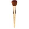 Jane Iredale Pennello Chisel Powder Brush