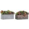 DKD Home Decor Pianta decorativa marrone e grigio, in polietilene eva (23,5 x 11 x 14,5 cm) (2 pezzi)