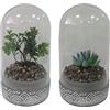 DKD Home Decor Impianto Ornamentale, Standard
