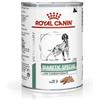Royal canin diabetic special low cane 400 gr