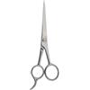 Borghetti Pharma FORBICI PARRUCCHIERE INOX