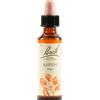 Fiori di bach Schwabe Fiori di Bach 02 Aspen Gocce 20 ml