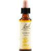 Fiori di bach Schwabe Bach Gorse Fiori Di Bach Gocce 20 ml