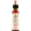 Fiori di bach Schwabe Fiori di Bach 29 Star of Bethlem Gocce 20 ml