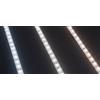 Ideal Lux STRIP LED SMD 2835 240 LEDm - 50.000h 8 x 5000mm 20.5 Wm IP65 2000 lmm 3000 K