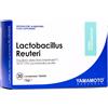 YAMAMOTO RESEARCH Lactobacillus Reuteri 30 compresse
