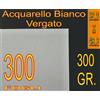 New Paper 300 FOGLI CARTA ACQUARELLO STAMPANTE INKJET 300GR RILIEVO A3+ 32,9 X 48,3