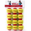 Wilson Confezione 12 palle wilson starter red