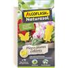Algoflash Naturasol Trappole Gialle Collant Decorative - 10 Adesivi