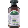 HENKEL ITALIA Srl ANTICA ERBOR SHAMPOO LAV 250ML