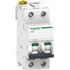 SCHNEIDER ELECTRIC S.P.A. Interruttore magnetotermico iC60N 2P C 16A 6000A - SNR A9F79216