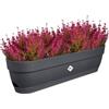 Elho Vibia Campana Trough 70 - Fioriera per Balcone - Ø 69.0 x H 17.0 cm - Nero/Anthracite