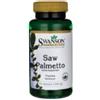 Swanson Saw Palmetto 540mg 100 capsule - Swanson