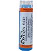 Hering Arnica Montana 5 Ch Granuli 1 Contenitore Multidose In Pp Da 4 G (80 Granuli) Con Tappo Dispensatore In Ps