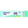 BOIRON Srl Aesculus Hippocastanum 200CH Boiron 80 Granuli