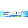 BOIRON Srl Agraphis Nutans 9CH Boiron 80 Granuli 4g