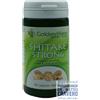 Golden Wave Shitake Strong 60 Capsule