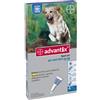 ADVANTIX 25 - 40KG 4pip x 4ml/10