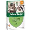 ADVANTAGE 40 CAT fino 4KG 4pip x 0,4ml/1