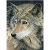 Pracht Creatives Hobby Royal & Langnickel - Quadro numerico Lupo, con matite Colorate e temperino, per Adulti e Bambini dagli 8 Anni in su