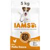IAMS Cibo secco per cani anziani di taglia piccola/media con pollo, 5 kg