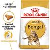 ROYAL CANIN Bengal Adult 2 kg