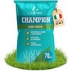 LERAVA CHAMPION semi prato (70m²) - festuca arundinacea di qualità - resistente a siccità e alte temperature - prato verde scuro fine - ideale per giardini e spazi verdi