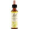 SCHWABE PHARMA ITALIA Srl Clematis - Fiore di Bach Originale n°9 - 20 ml