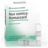 nux vomica homaccord