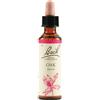 SCHWABE PHARMA ITALIA Srl Oak - Fiore di Bach Originale n° 22 - 20 ml