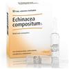 GUNA SpA Echinacea compositum s 10 fiale da 2,2 ml Heel