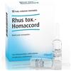 GUNA SpA Rhus tox-homaccord Heel 10 fiale da 1,1 ml