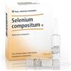 GUNA SpA Selenium compositum n Heel 10 fiale da 2,2, ml