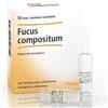 GUNA SpA Fucus compositum Heel 10 fiale da 2,2 ml