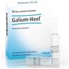 GUNA SpA Galium heel 10 fiale da 1,1 ml