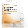 GUNA SpA Solidago compositum Heel 10 fiale da 2,2 ml