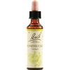 SCHWABE PHARMA ITALIA Srl Honeysuckle - Fiore di Bach Originale n°16 - 20 ml