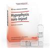 GUNA SpA HYPOPHYSIS SUIS INJ 10F HEEL
